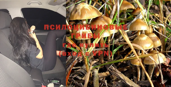 каннабис Пересвет